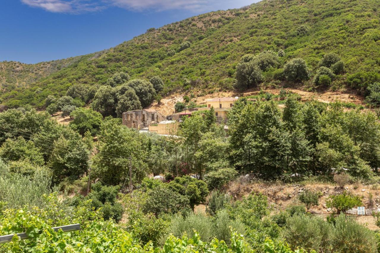 Villa 4 Destina